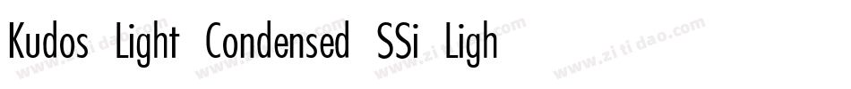 Kudos Light Condensed SSi Light Condensed Italic字体转换